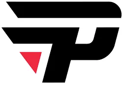 paiN Gaming braziliam esports team logo